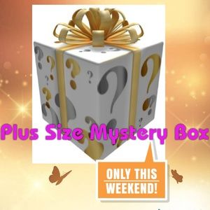 Various Brands Tops - Surprise Mystery Box Plus Size 1X, 2X, 3X Various Brands Tops - Surprise Mystery Box Plus Size 1X, 2X, 3X